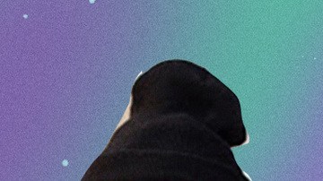 Art by Stephany Torres for Remezcla