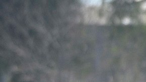 Family members of a person who died of COVID-19 attend a funeral at Cementerio General on September 4, 2020 in Santiago, Chile. Photo by Claudio Santana/Getty Images