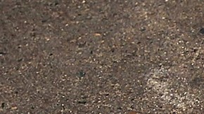 A plastic bag sits in a Manhattan street on May 05, 2016 in New York City. Photo by Spencer Platt/Getty Images