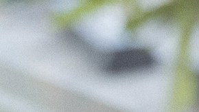 Art by Stephany Torres for Remezcla