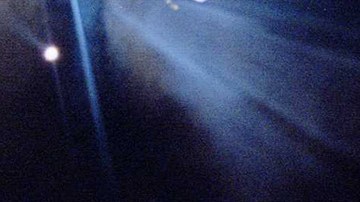 Jiu-Jitsu black belt Royce Gracie (USA) receives a $50,000 check after becoming "The Ultimate Fighter" by defeating Gerard Gordeau of the Netherlands int he finals of the Ultimate Fighter Championships in Denver, Colorado. Photo by Markus Boesch