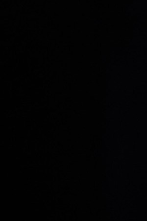 Photo Courtesy of the Artist.