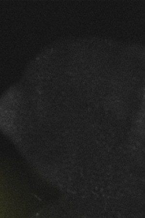 Art by Stephanie Torres for Remezcla