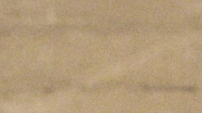 Courtesy of the Artist