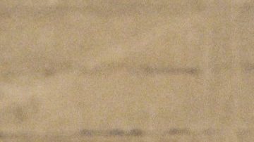 Courtesy of the Artist