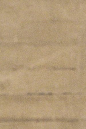 Courtesy of the Artist