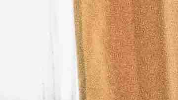 (l-r) Lourdes (Zoey Luna)  Frankie (Gideon Adlon)  Tabby (Lovie Simone) and Lily (Cailee Spaeny) perform rituals and talk about being cautious with their gifts in Columbia Pictures' THE CRAFT: LEGACY.