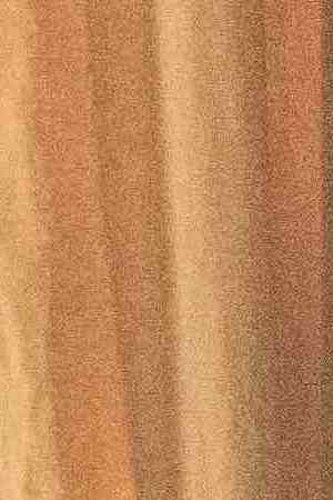 (l-r) Lourdes (Zoey Luna)  Frankie (Gideon Adlon)  Tabby (Lovie Simone) and Lily (Cailee Spaeny) perform rituals and talk about being cautious with their gifts in Columbia Pictures' THE CRAFT: LEGACY.