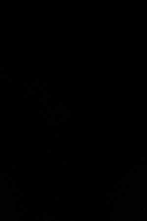 Photo by Daniel Assis. Courtesy of the artist.