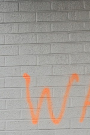 Photo by Cory Clark/NurPhoto via Getty Images