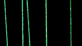 LAS VEGAS, NV - NOVEMBER 16:  J Balvin (L) and Bad Bunny perform onstage during The 18th Annual Latin Grammy Awards at MGM Grand Garden Arena on November 16, 2017 in Las Vegas, Nevada.  (Photo by Gustavo Caballero/Getty Images for LARAS)