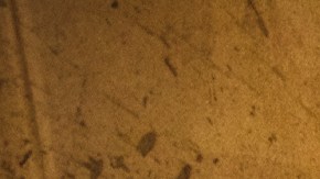 Photo by Getty Images