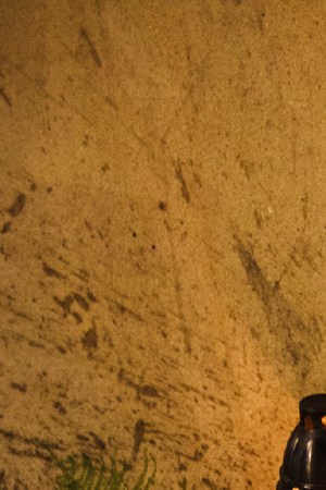 Photo by Getty Images