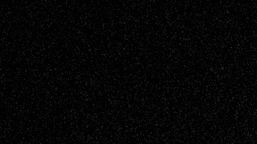 Courtesy of the artist.