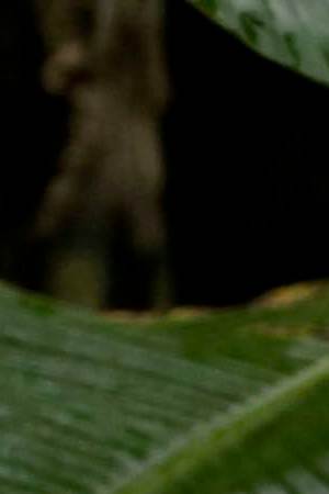 Photo courtesy of the artist.