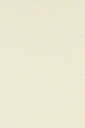 Photo by Nico Hernandez. Courtesy of the artist