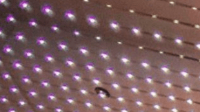 Courtesy of Rancho Humilde