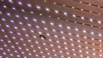 Courtesy of Rancho Humilde