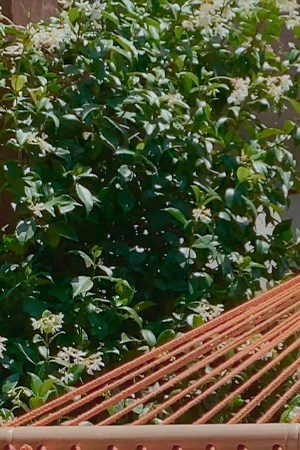 Photo Courtesy of Netflix