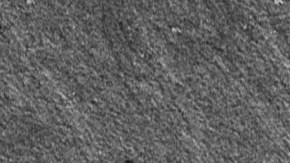 Photo by Zamar Velez. Courtesy of the artist