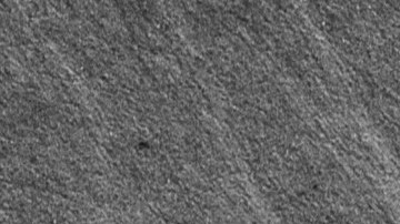 Photo by Zamar Velez. Courtesy of the artist