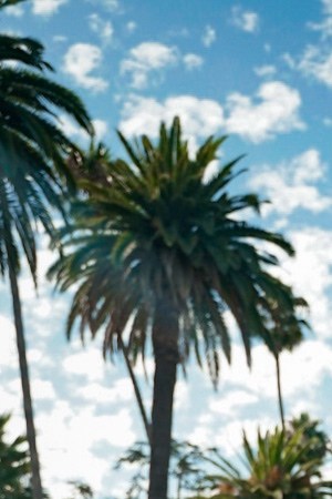 Courtesy of the artist.