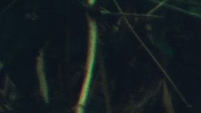 Photo by Rolando Pérez. Courtesy of the Artist.