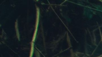 Photo by Rolando Pérez. Courtesy of the Artist.