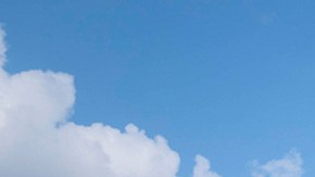 A sign for the Food And Drug Administration is seen outside of the headquarters on July 20, 2020 in White Oak, Maryland. Photo by Sarah Silbiger/Getty Images