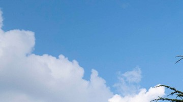 A sign for the Food And Drug Administration is seen outside of the headquarters on July 20, 2020 in White Oak, Maryland. Photo by Sarah Silbiger/Getty Images