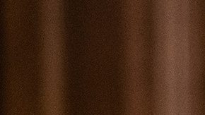 Supreme Court nominee Judge Amy Coney Barrett poses for a photo with Sen. Photo by Anna Moneymaker-Pool/Getty Images