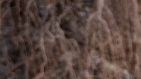 People walk around the lake of Palermo on July 20, 2020 in Buenos Aires, Argentina. Photo by Marcelo Endelli/Getty Images