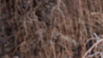 People walk around the lake of Palermo on July 20, 2020 in Buenos Aires, Argentina. Photo by Marcelo Endelli/Getty Images