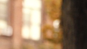 Photo by Rodrigo Olivar.