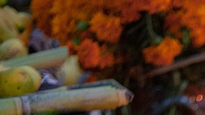 Photo by fitopardo/Getty Images.