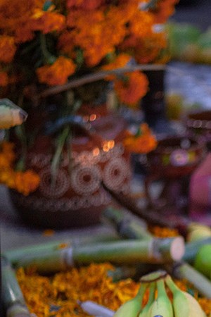 Photo by fitopardo/Getty Images.