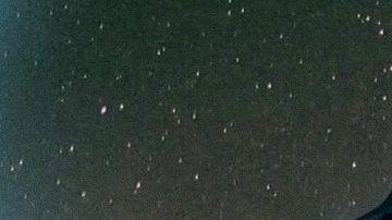 Art by Stephany Torres for Remezcla.