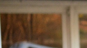 In this handout provided by U.S. Immigration and Customs Enforcement, Foreign nationals were arrested this week during a targeted enforcement operation conducted by U.S. Photo by Bryan Cox/U.S. Immigration and Customs Enforcement via Getty Images.