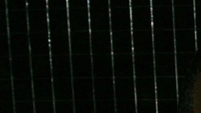 Basketball player Kobe Bryant and wife Vanessa at the official after party for the 2004 World Music Awards, September 15, 2005 at Body English in the Hard Rock Hotel in Las Vegas, Nevada. Photo by Frank Micelotta/Getty Images