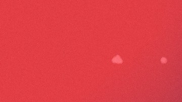 Photo by Nino Muñoz | Art by Stephany Torres for Remezcla.