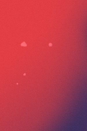 Photo by Nino Muñoz | Art by Stephany Torres for Remezcla.