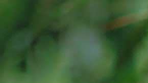 jag368.ggm.lp.fc.hr.3600