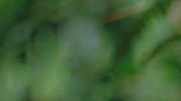 jag368.ggm.lp.fc.hr.3600