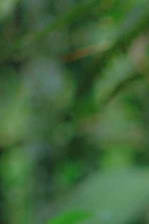 jag368.ggm.lp.fc.hr.3600