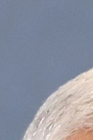 Art by Alan Lopez for Remezcla