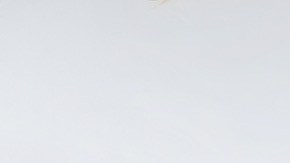 Photo by Ernna Cost. Courtesy of the artist