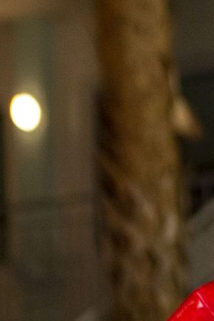 Photo courtesy of the artist.