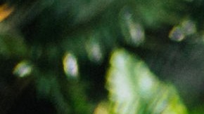 Photo courtesy of the artist.