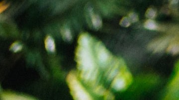 Photo courtesy of the artist.