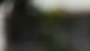 Photo by ROBYN BECK/AFP via Getty Images